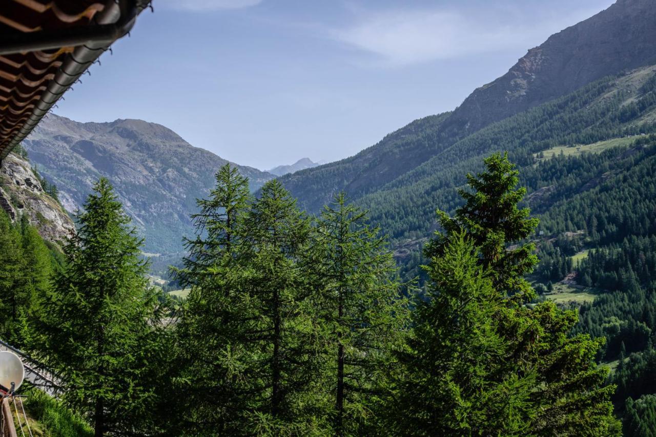 Hotel & Restaurant Perret - Mountain People Valgrisenche Exterior foto