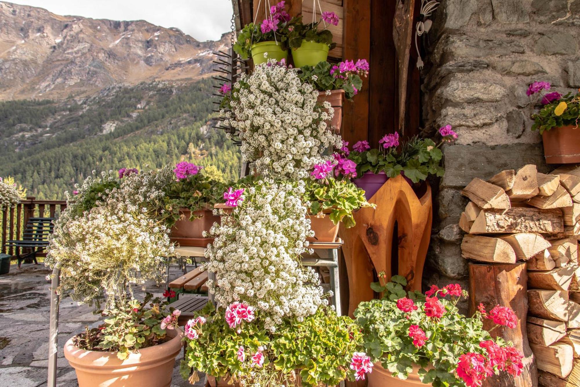 Hotel & Restaurant Perret - Mountain People Valgrisenche Exterior foto