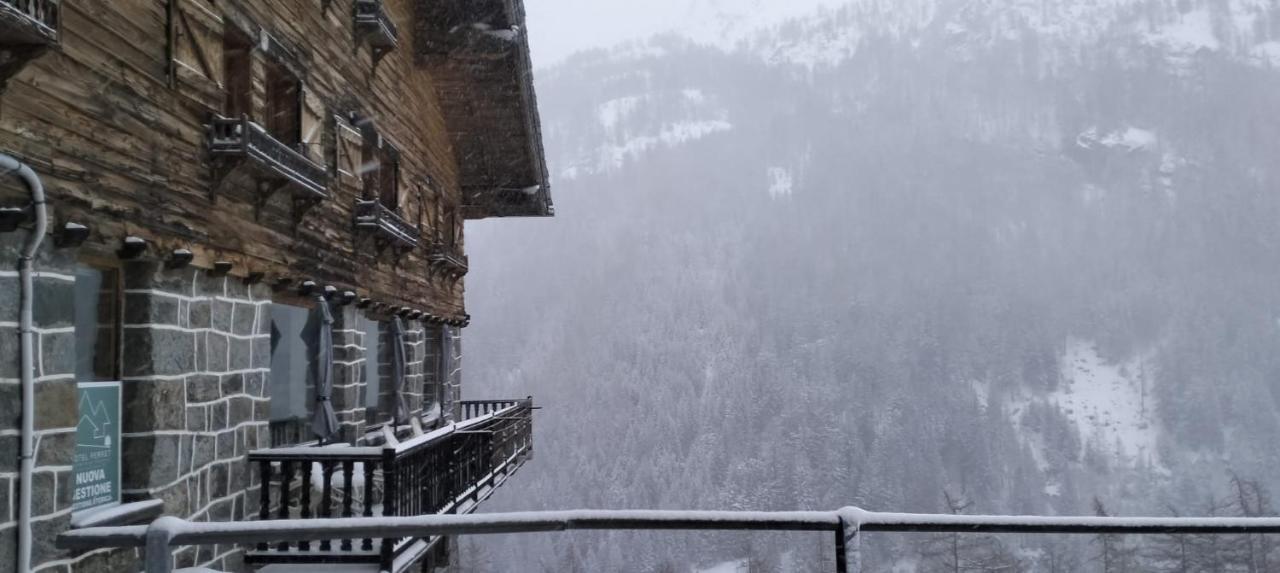Hotel & Restaurant Perret - Mountain People Valgrisenche Exterior foto